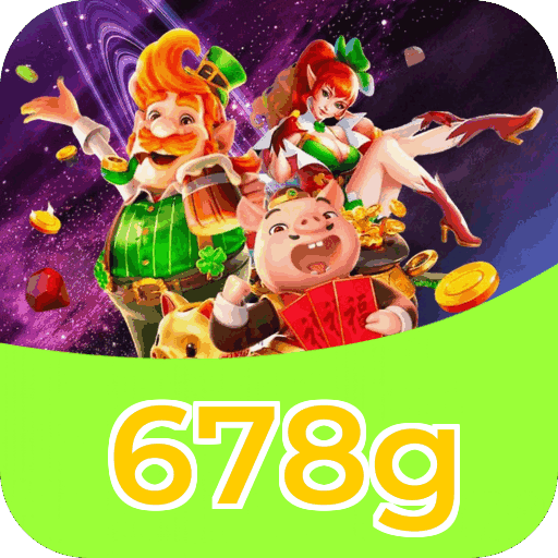 Interface 678g